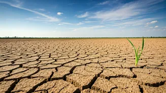 Delayed Rain Makes Rajasthan More Unpredictable Now