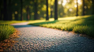 Daily Strides: The Walking Prescription for Lower Blood Pressure