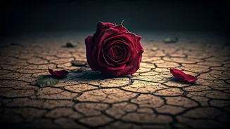 5 Subtle Signals Your Relationship Might Be Heading for a Breakup