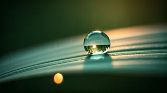 Aquarius: Your March 25, 2026, Daily Insight - Confidence, Harmony, and Financial Prudence