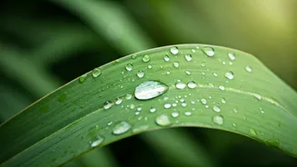 The Best Dermatologist Approved Routine For Rainy Season Skin