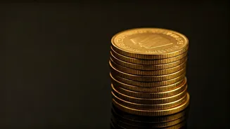 Union Bank of India: A Performance Overview