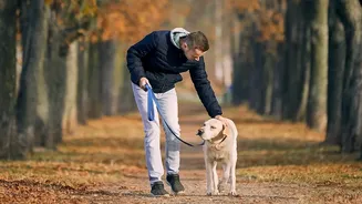 Reducing Rainy-Season Infection Risks Begins With Smarter Pet Walking Habits