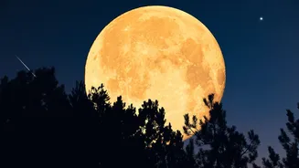 25 or 26th Oct? When is Sharad Purnima 2026?