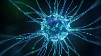 5 Brain-Boosting Japanese Tricks: Sharpen Your Mind!