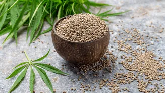 How to include hemp seeds in your meals