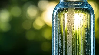 Hydration Unveiled: Your Essential Guide to Daily Water Intake