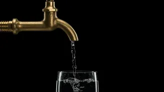 Why Crop Waste Bio-Char Filters Offer Cheap Safety Against Tap Water Microplastics