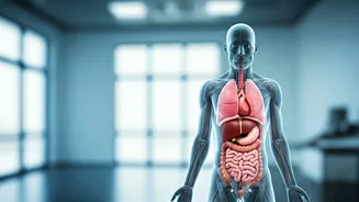 Beyond the Scale: Why 'Normal Weight' Isn't Always a Health Guarantee