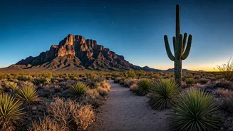 Big Bend National Park: Your Ultimate Guide to Texas's Desert Majesty