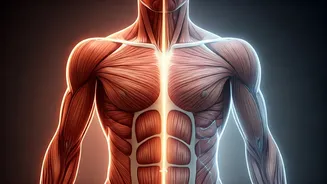 The Body's Imbalance: When Weightlifting Reigns but Cardio is Cast Aside