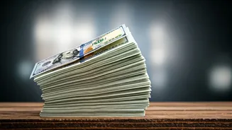 India Inc's Overseas Fundraising: What Lies Ahead?