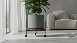 A Rolling Plant Stand Can Help with Large Containers
