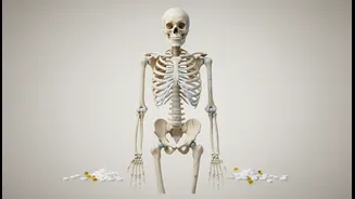 Calcium And D Are Not Magic Shields