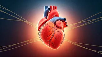 Bollywood's Health Commandments: Stars Prioritizing Wellness Over Whims