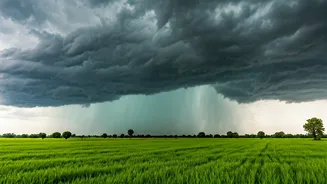 Monsoon Hits Uttar Pradesh As Rain Bands Cross Northern Plains