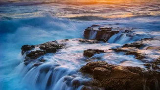 How Morning Sun Exposure Resets Biological Clocks To Prevent Afternoon Fatigue Spikes