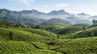 India launches National Digital Tourism Stack