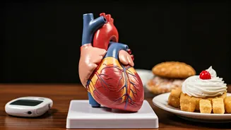 Health Risks: Holiday Celebrations & Vulnerable Groups