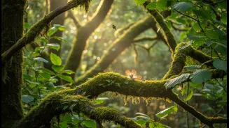 Birding Trips Reward Guides Who Teach Listening, Not Just Species Lists