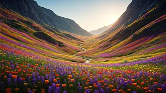 Valley Of Flowers Is Back In Trekking Chats