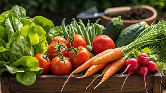 Beginner's Guide: 10 Easiest Vegetables & Essential Garden Hacks for a Bountiful Harvest