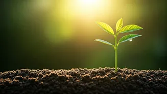 Climate Literacy Helps Build Better Decisions