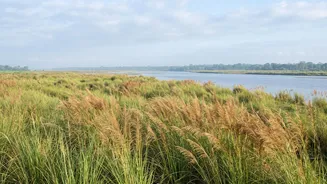 Kaziranga Reopens In Phases After The 2026 Monsoon