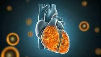 Omega-3: Why You Need It and Why You're Likely Missing Out