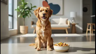 Urban pet parents reveal improvements in dogs after starting customized fresh meal preps
