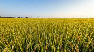 Related Stories banner