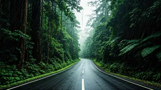 These Rainy Routes Offer Pure Adrenaline