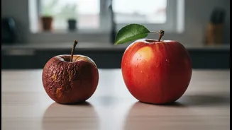 Healthy Eating Advice Should Start With The Constraints People Actually Face