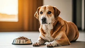 Diet Checks Are Part Of Monsoon Pet Prep