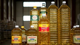 India's Vegetable Oil Imports Surge in December: An 8% Increase