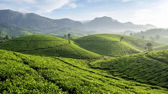 September In India: Which Destinations Could Offer A Better Late-Monsoon Travel Experience?
