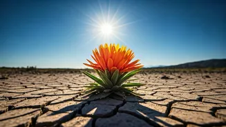 Learn to turn setbacks into your advantages.