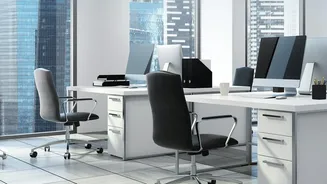 Ergonomic Desk Setup Fundamentals: Simple Monitor Chair Tweaks Stop Back Pain