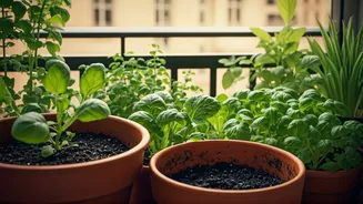 This Green Hobby Is Growing Faster Than Ever