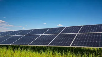 India's Climate Leadership: A Prime Opportunity