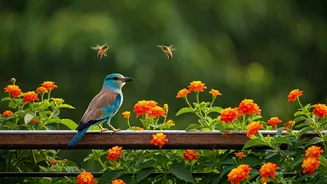 Native Plants In Balconies Pull In Birds And Bees