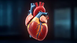 Circadian Rhythm Disruption & Your Heart's Health