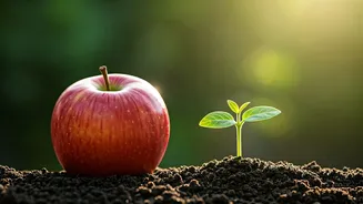 Consumers Are Connecting Food With The Planet