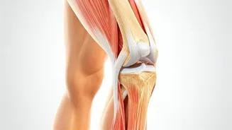 10 Easy Exercises for Stronger Knees: Get Moving!