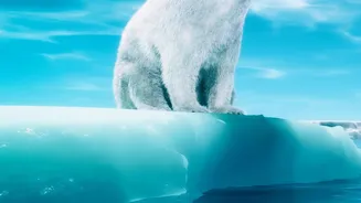 Global Sea-Surface Temperature Reaches A Historic High Of 21.1C