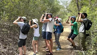 Spending time watching birds can improve your mental well-being