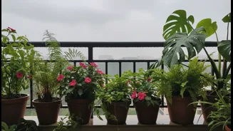 What to Know About Monsoon Balcony Micro-Gardens before Trusting the Strongest Claims