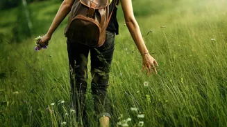 How mindful walking benefits your health