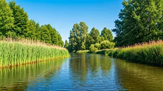 7 River-Inspired Baby Girl Names: A Flowing Trend