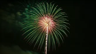 SC Allows Green Crackers This Diwali in Delhi